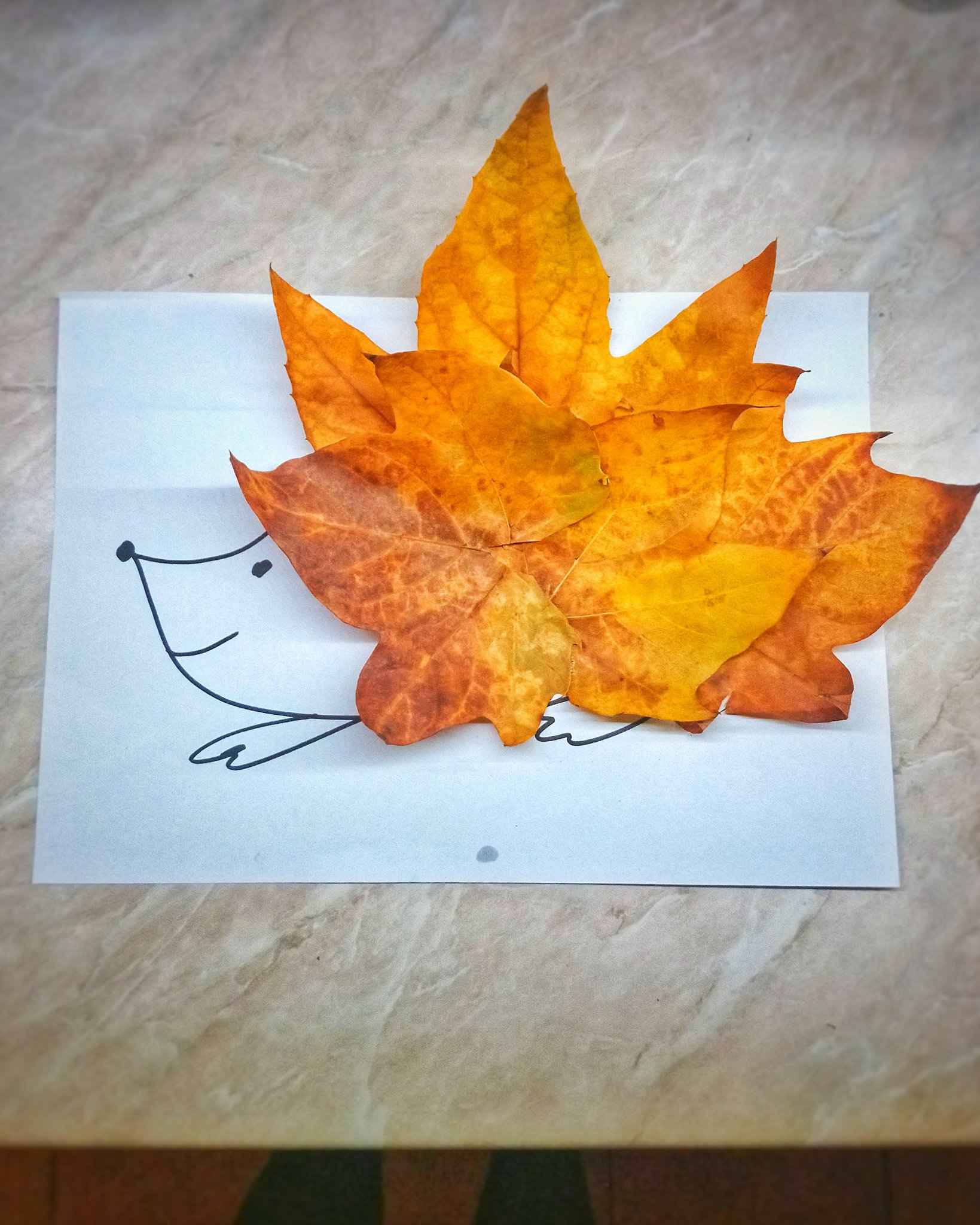 Mit keszits oszi falevelbol